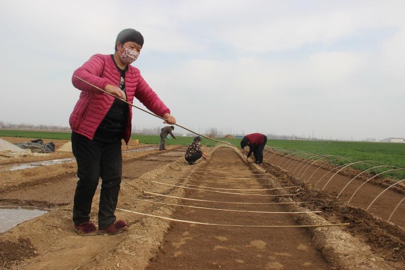 疫情防控、春耕生產(chǎn)兩手抓