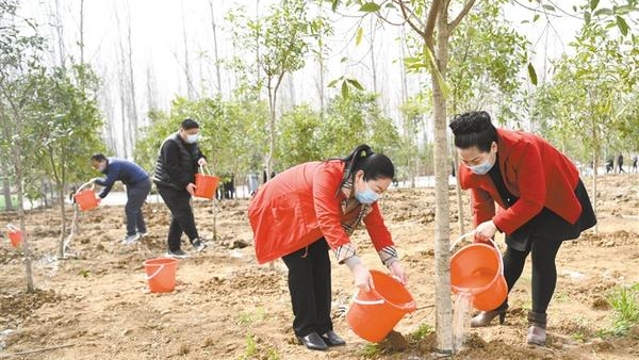 義務(wù)植樹(shù) 添綠周口