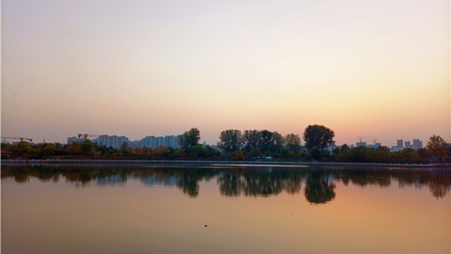 蘆花白，秋水寒