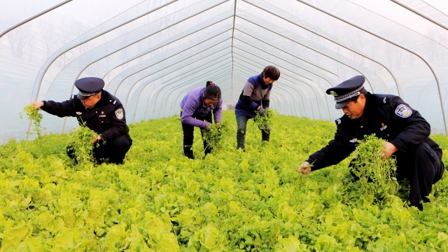 民警幫扶貧困戶 細(xì)致入微暖人心