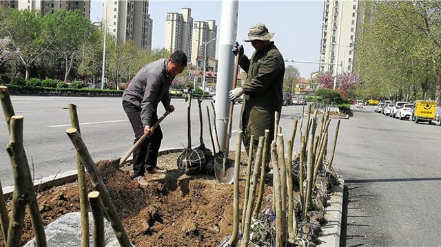 街頭游園